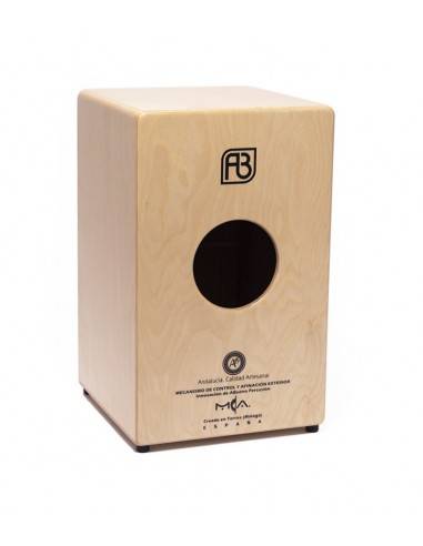 copy of Modelo Rumba